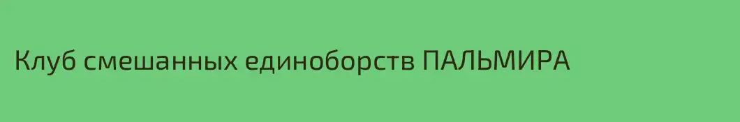 Клуб смешанных единоборств ПАЛЬМИРА